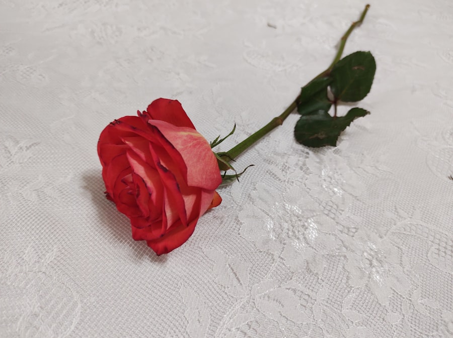 personal farewell