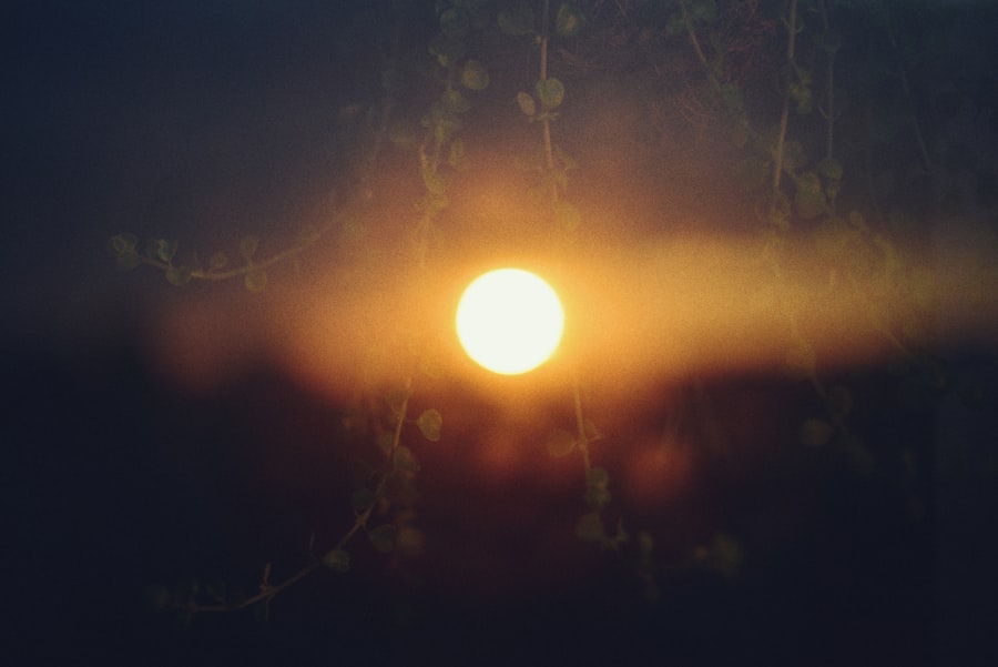 Zonnebrillen