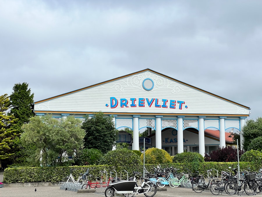 leven onder je middelen