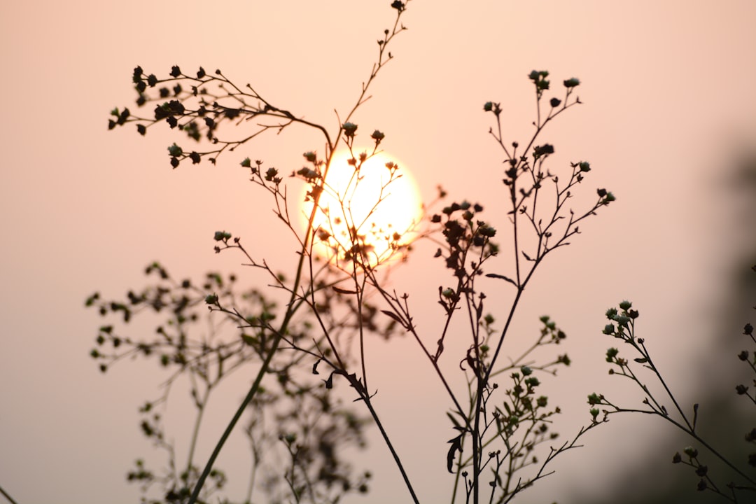 Photo Zonnebrillen