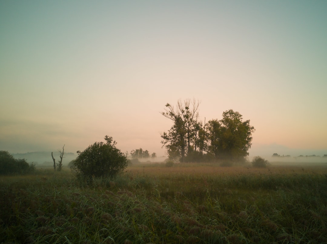 Photo ochtendroutines